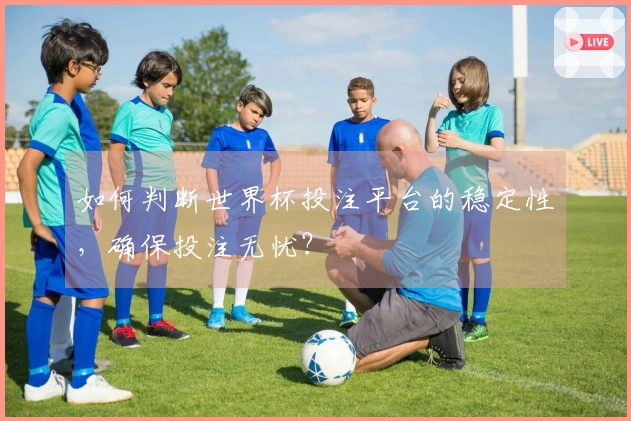 如何判断世界杯投注平台的稳定性，确保投注无忧？