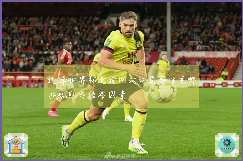 选择世界杯竞猜网站时需要注意哪些规则与信誉因素