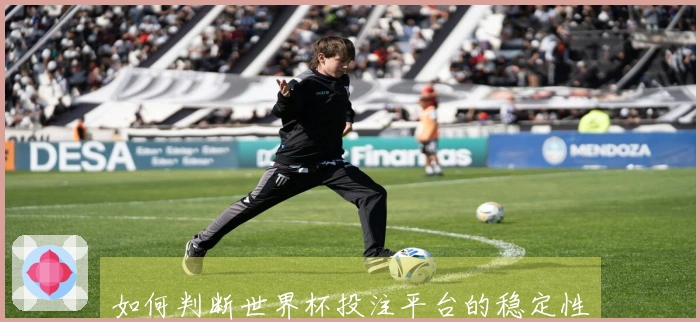 如何判断世界杯投注平台的稳定性，确保投注无忧？
